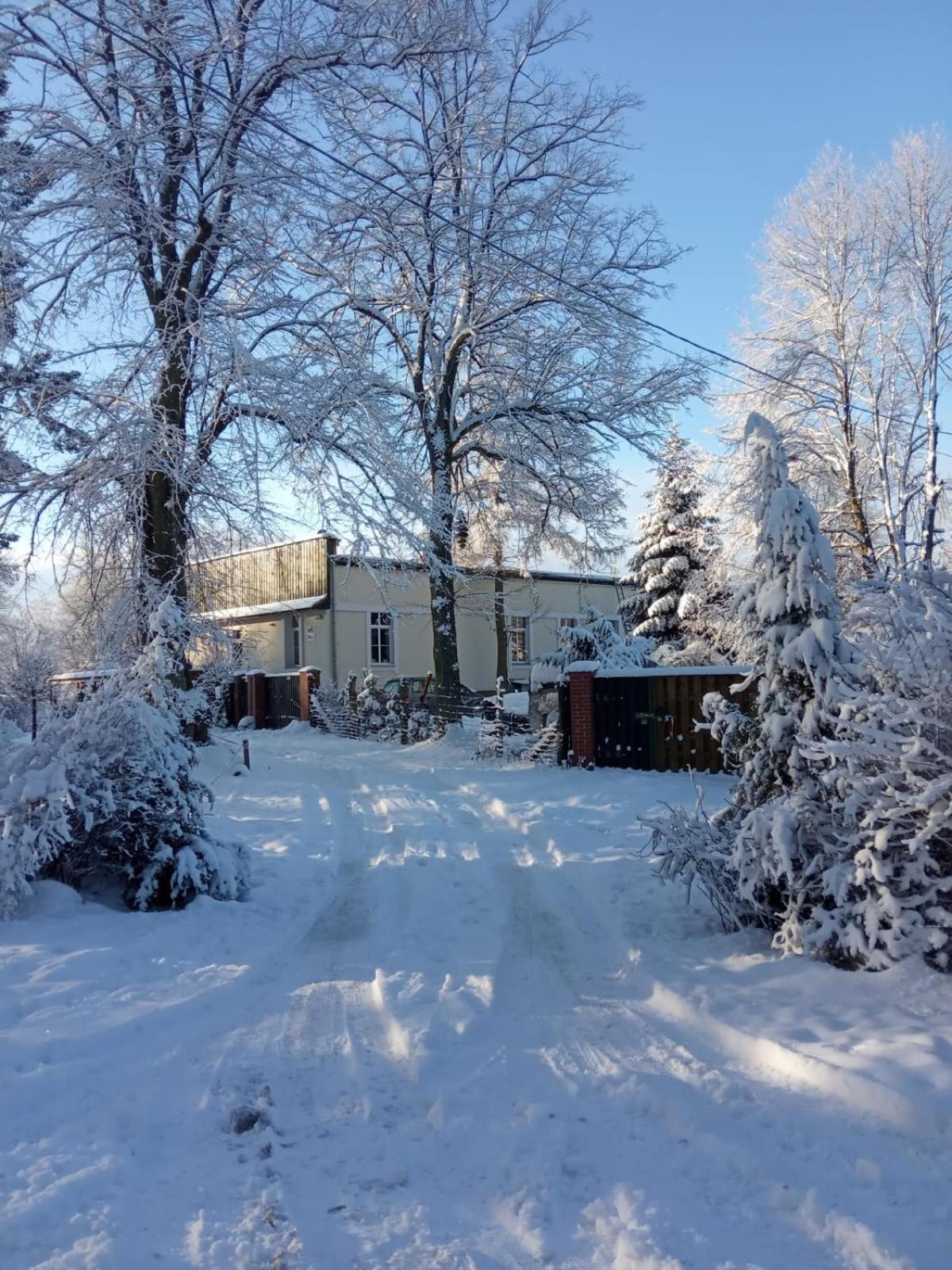 Bed & Breakfast - Warnileg Bed & Breakfast Exterior photo